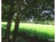 Malanda QLD 4885