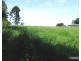 Malanda QLD 4885