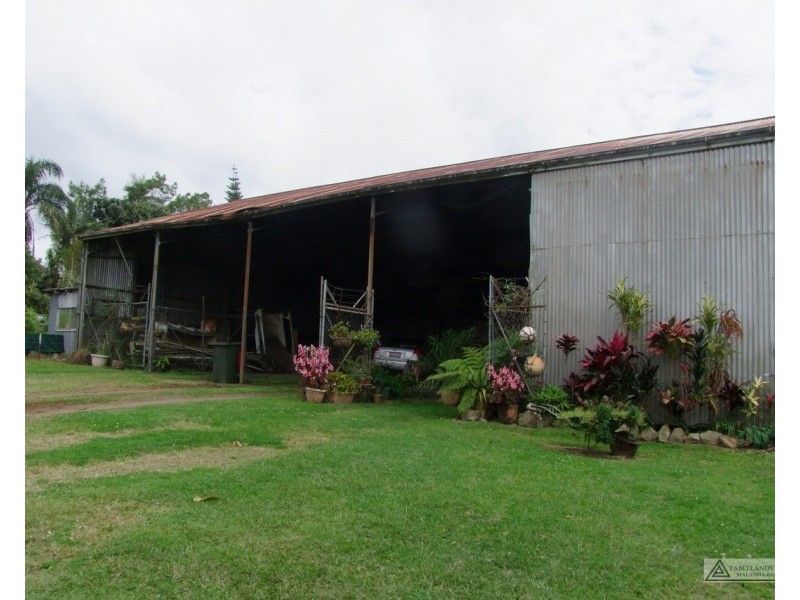 Millaa Millaa QLD 4886