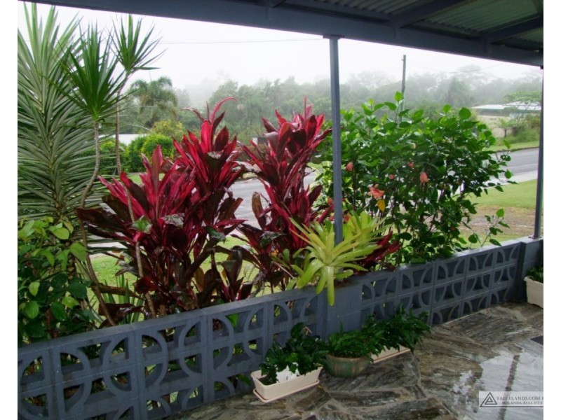 Millaa Millaa QLD 4886