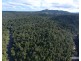 Millaa Millaa QLD 4886