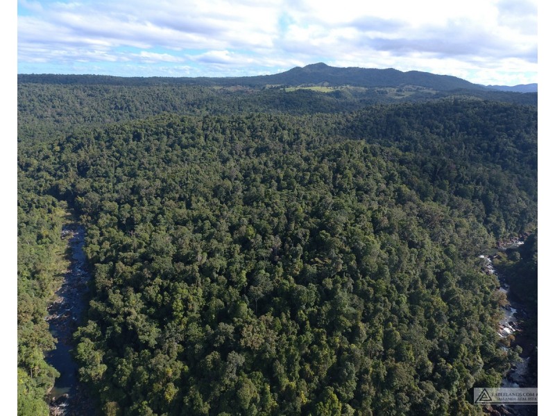 Millaa Millaa QLD 4886