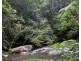 Millaa Millaa QLD 4886