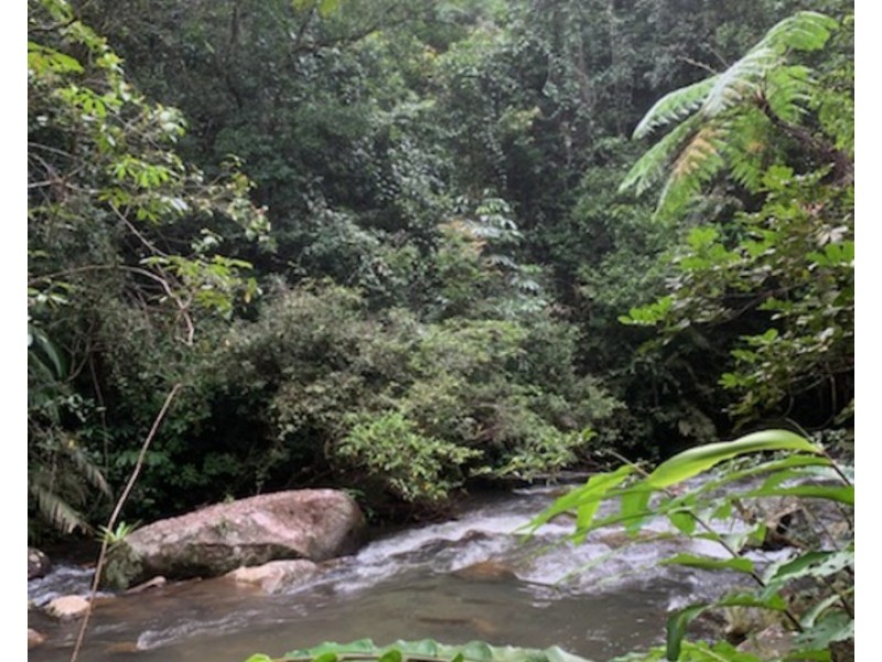 Millaa Millaa QLD 4886
