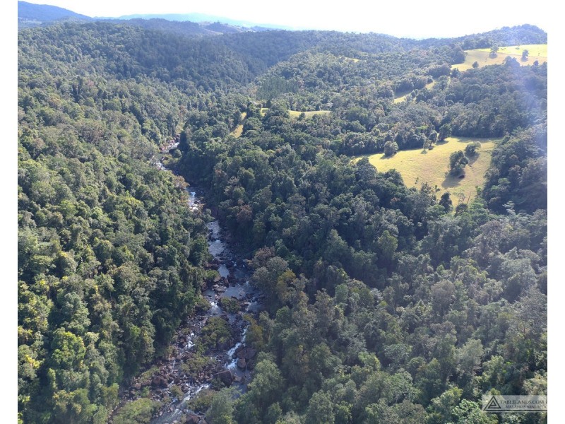 Millaa Millaa QLD 4886