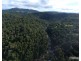 Millaa Millaa QLD 4886