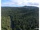 Millaa Millaa QLD 4886