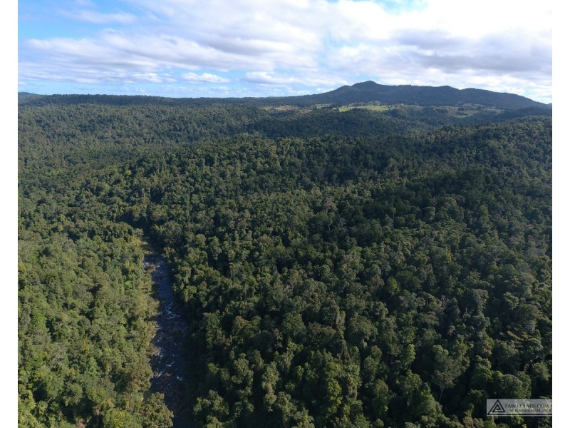 Millaa Millaa QLD 4886