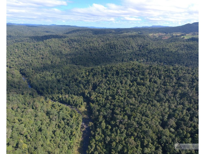Millaa Millaa QLD 4886