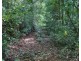 Millaa Millaa QLD 4886