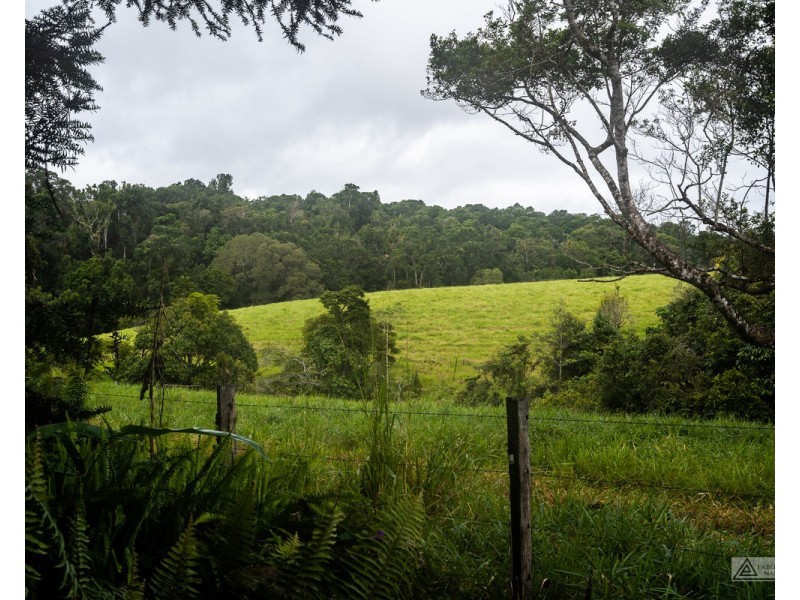 Millaa Millaa QLD 4886