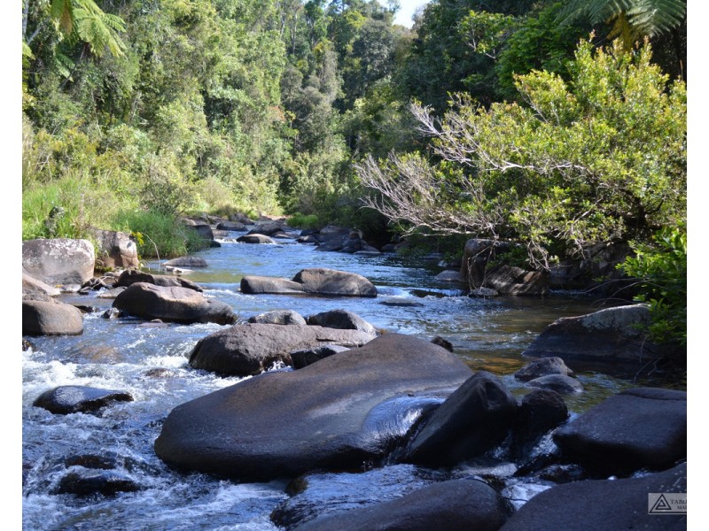 Millaa Millaa QLD 4886