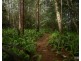 Millaa Millaa QLD 4886