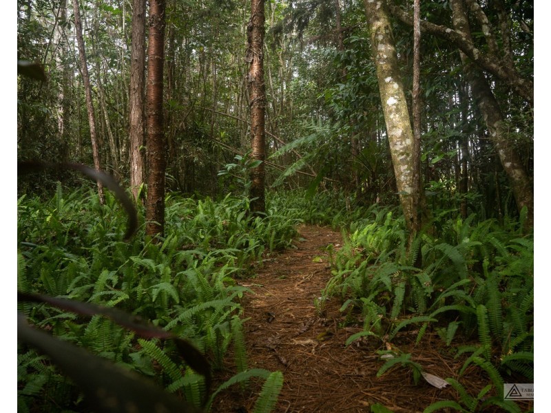Millaa Millaa QLD 4886
