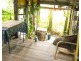 Millaa Millaa QLD 4886
