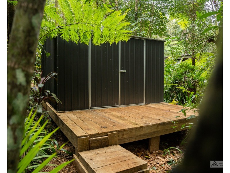 Millaa Millaa QLD 4886
