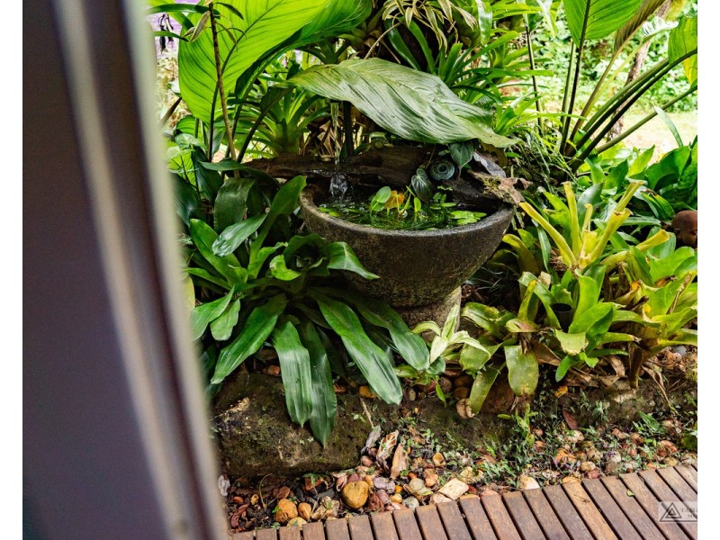 Millaa Millaa QLD 4886