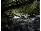 Millaa Millaa QLD 4886