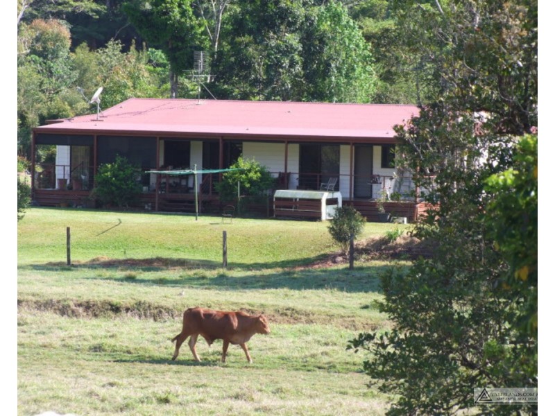 Millaa Millaa QLD 4886