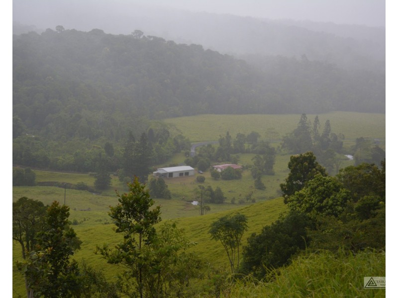 Millaa Millaa QLD 4886