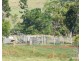Millaa Millaa QLD 4886