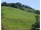 Millaa Millaa QLD 4886