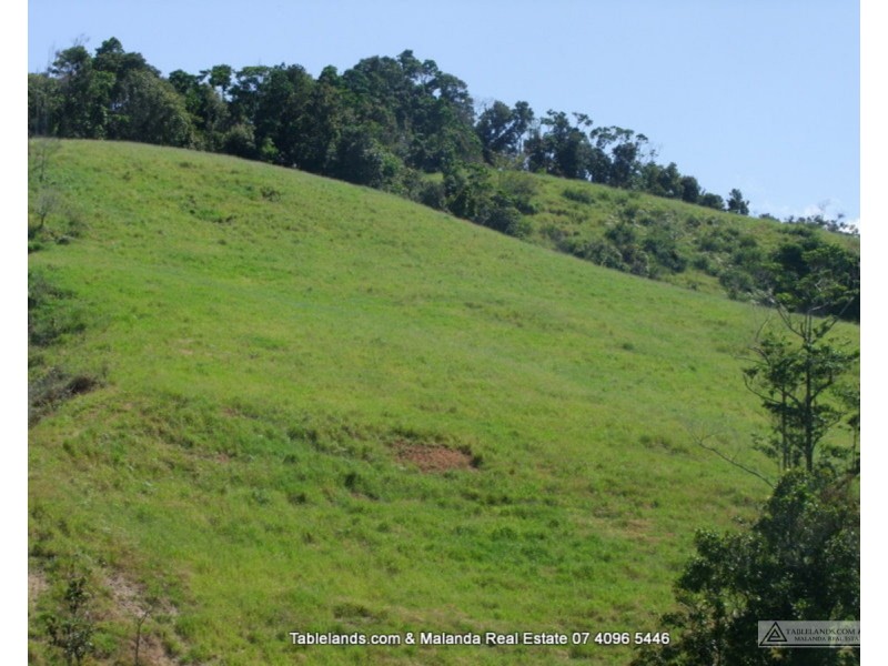 Millaa Millaa QLD 4886