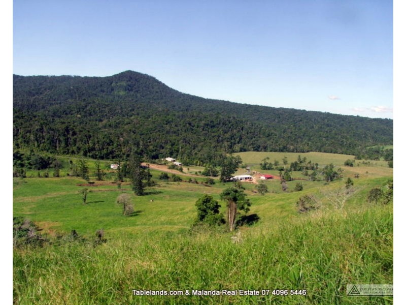 Millaa Millaa QLD 4886