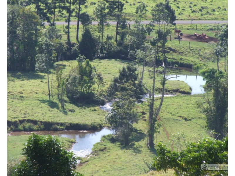 Millaa Millaa QLD 4886