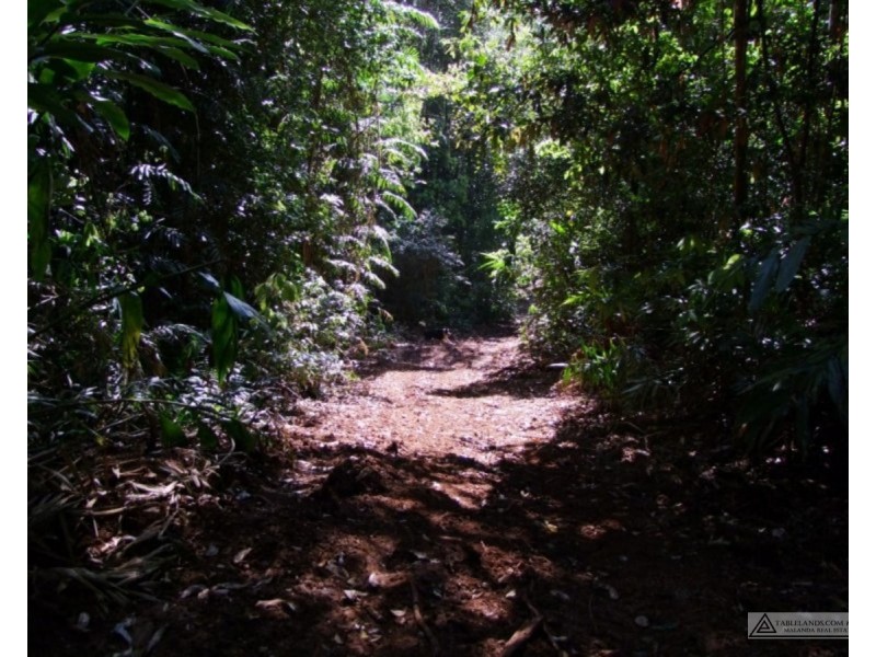 Millaa Millaa QLD 4886