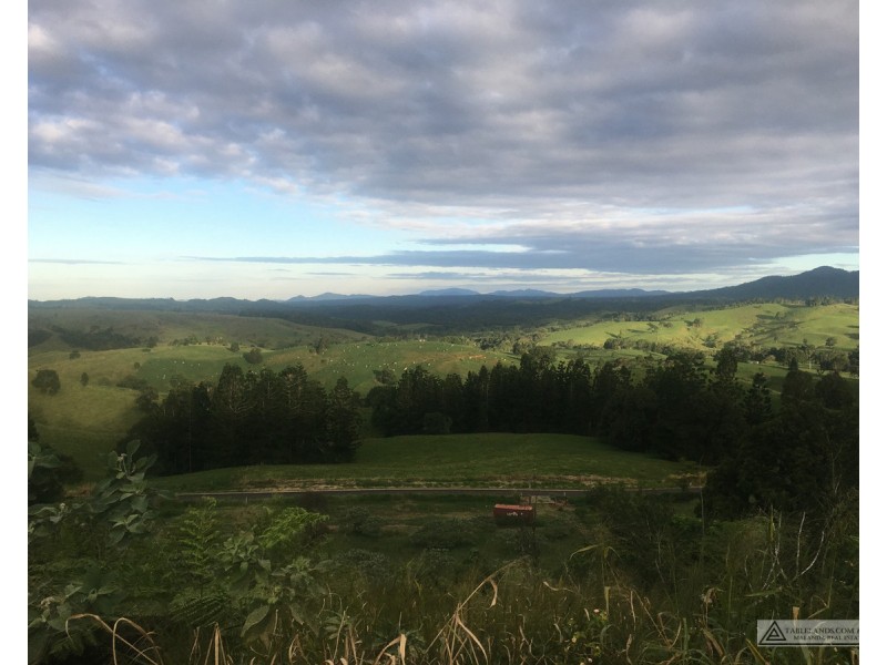 Millaa Millaa QLD 4886