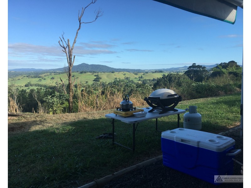 Millaa Millaa QLD 4886
