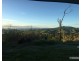 Millaa Millaa QLD 4886