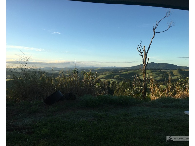 Millaa Millaa QLD 4886
