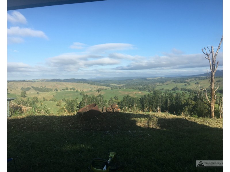 Millaa Millaa QLD 4886