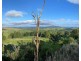 Millaa Millaa QLD 4886