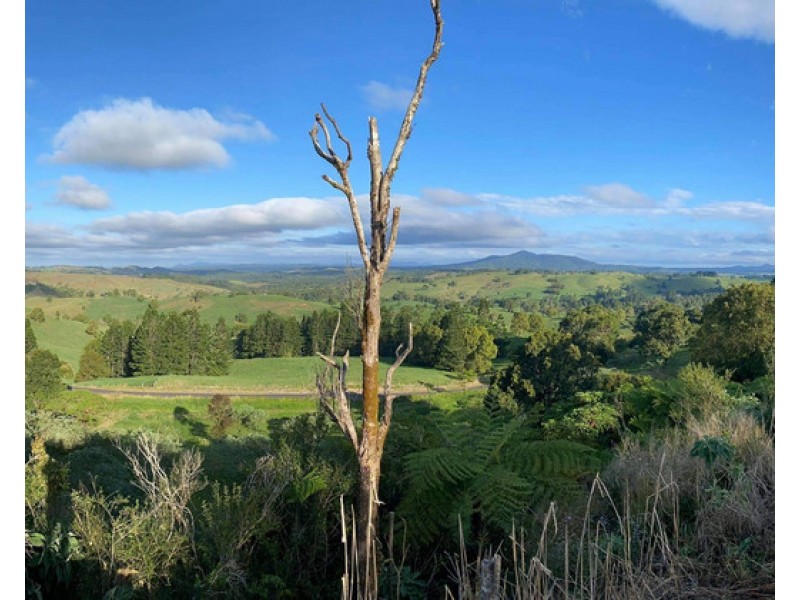 Millaa Millaa QLD 4886