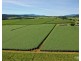 Peeramon QLD 4885