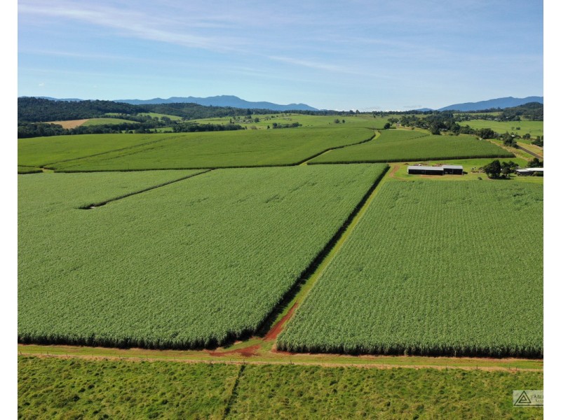 Peeramon QLD 4885