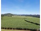 Peeramon QLD 4885
