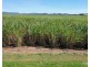 Peeramon QLD 4885