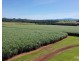 Peeramon QLD 4885