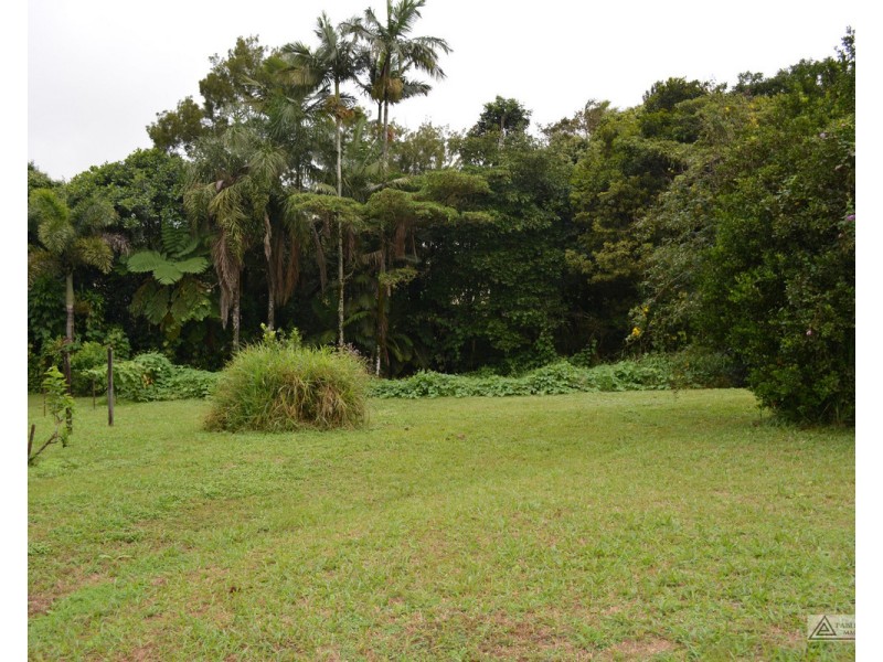 Millaa Millaa QLD 4886