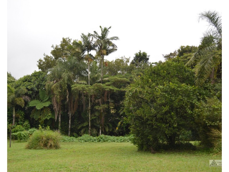 Millaa Millaa QLD 4886