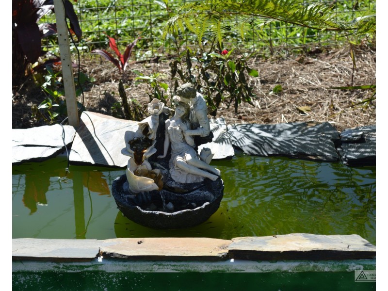 Millaa Millaa QLD 4886