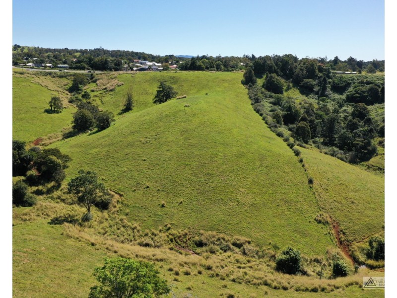 Millaa Millaa QLD 4886