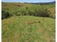 Millaa Millaa QLD 4886