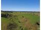 Millaa Millaa QLD 4886