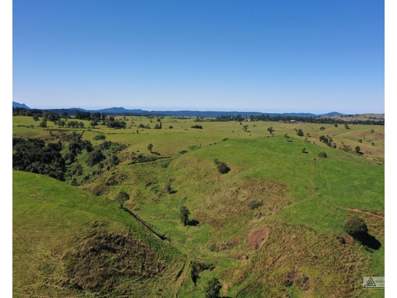 Millaa Millaa QLD 4886
