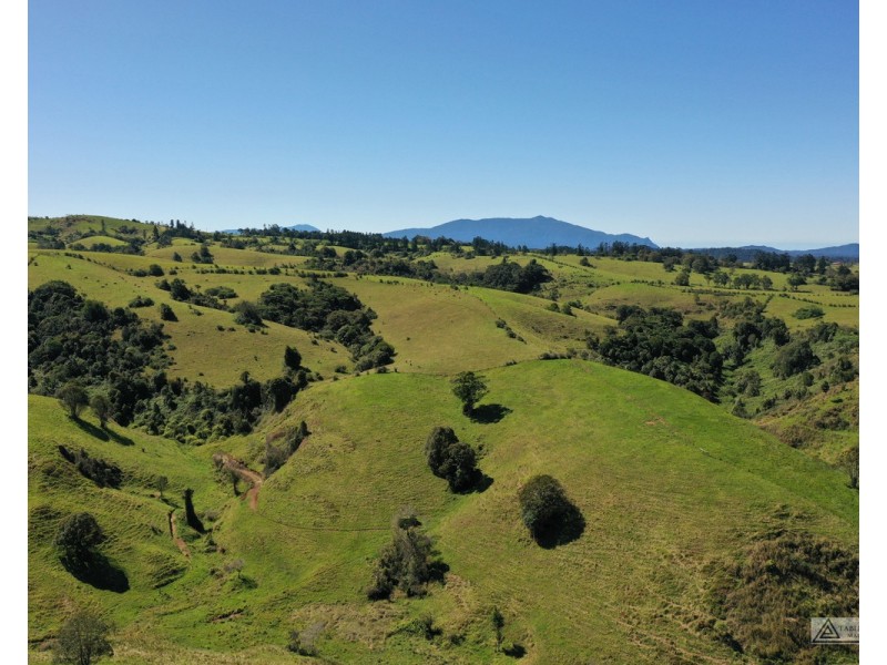 Millaa Millaa QLD 4886